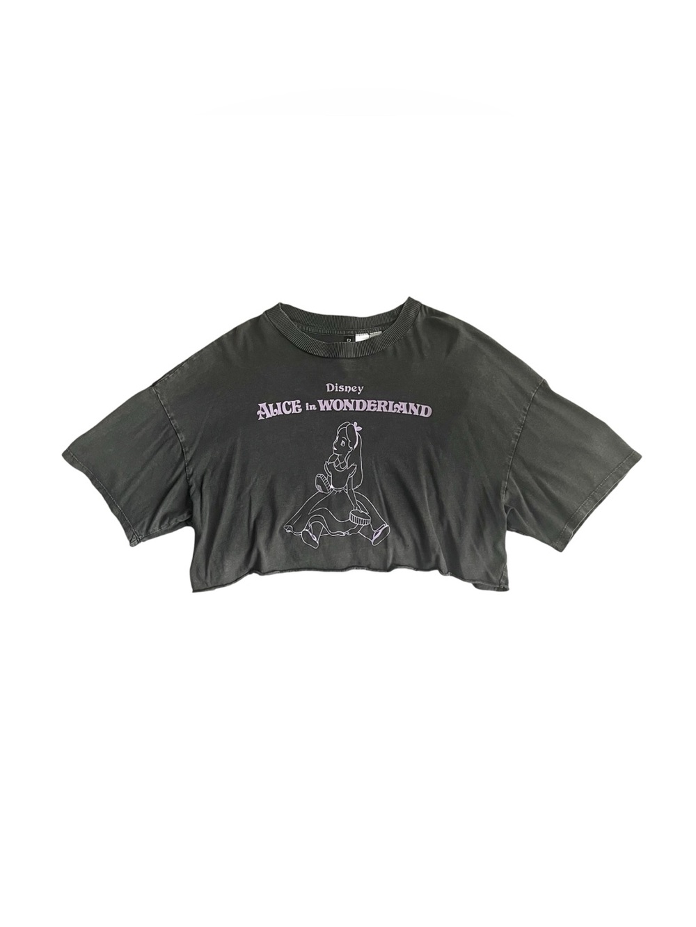 H&M Alice in Wonderland Disney Crop Top